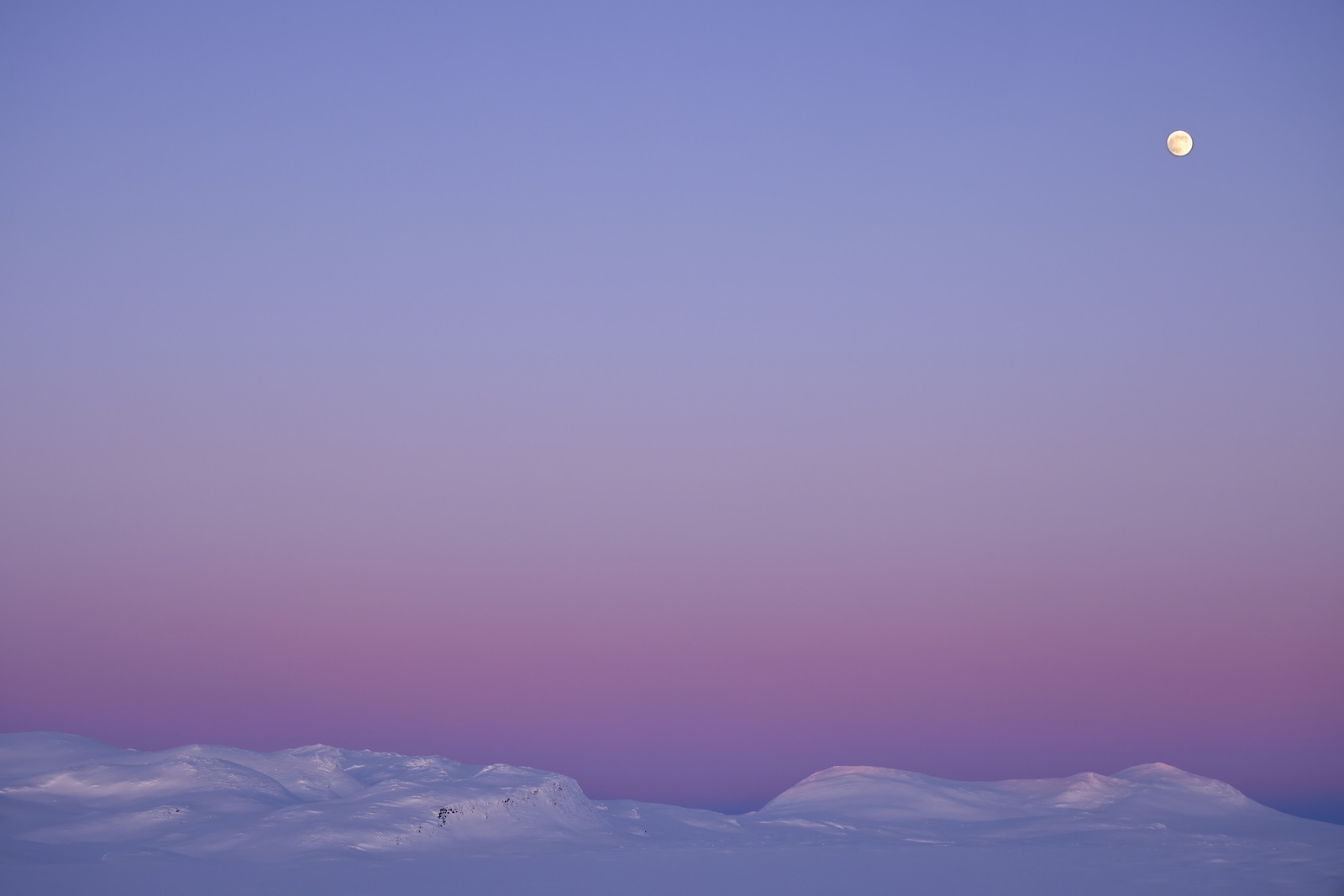 Winterlandschaft im Stora Sjöfallet Nationalpark, Schwedisch Lappland